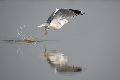 BUITEN BEELD Foto: 273481