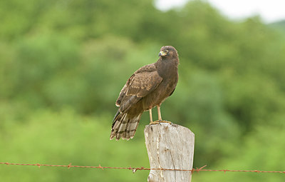 BUITEN BEELD Foto: 273508