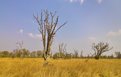 BUITEN BEELD Foto: 273578