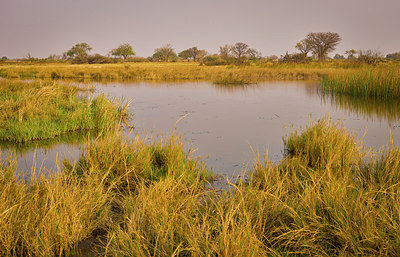 BUITEN BEELD Foto: 273579