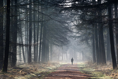 BUITEN BEELD Foto: 273619