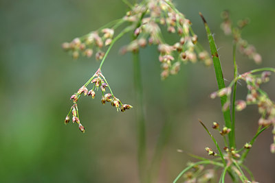 BUITEN BEELD Foto: 273695