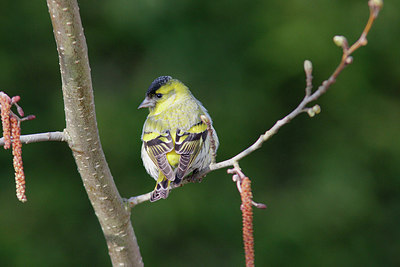 BUITEN BEELD Foto: 273729