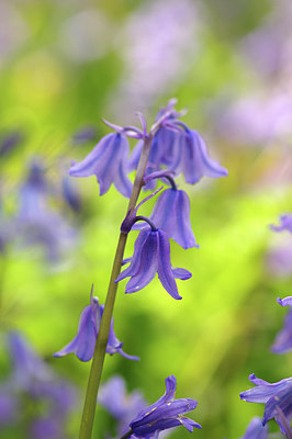 BUITEN BEELD Foto: 273731