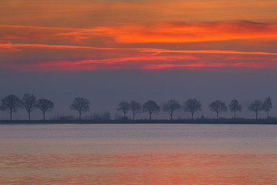 BUITEN BEELD Foto: 273749