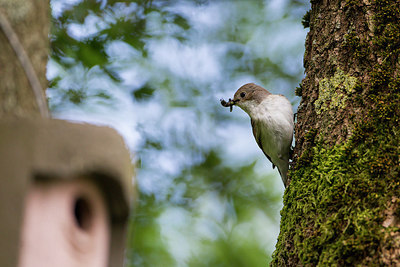 BUITEN BEELD Foto: 273762