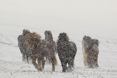 BUITEN BEELD Foto: 273775