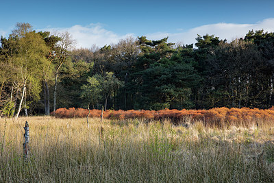 BUITEN BEELD Foto: 273796