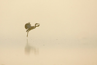 BUITEN BEELD Foto: 273905