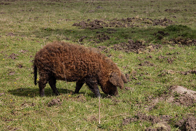 BUITEN BEELD Foto: 273912