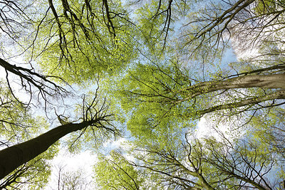 BUITEN BEELD Foto: 273940