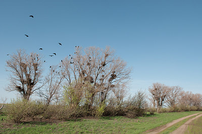 BUITEN BEELD Foto: 274021