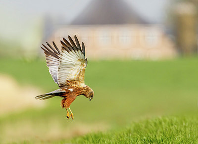 BUITEN BEELD Foto: 274057