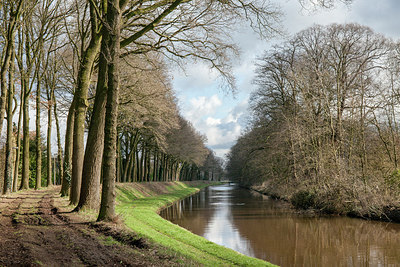 BUITEN BEELD Foto: 274137
