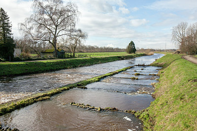 BUITEN BEELD Foto: 274138