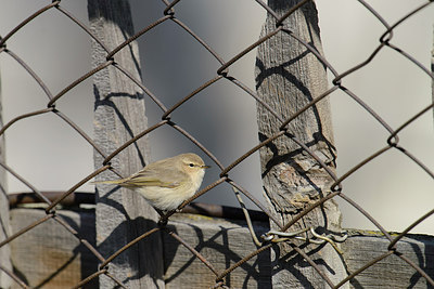BUITEN BEELD Foto: 274141