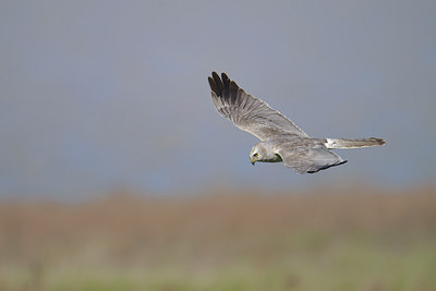BUITEN BEELD Foto: 274153