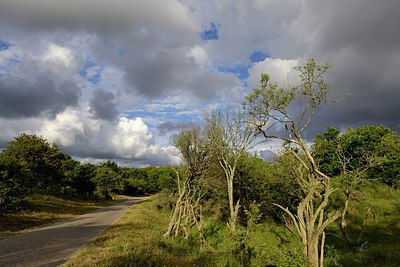 BUITEN BEELD Foto: 274173