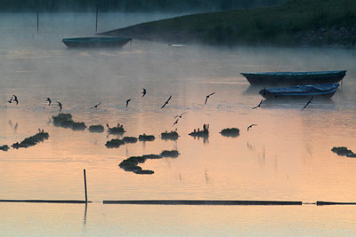 BUITEN BEELD Foto: 274198