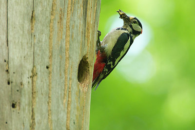 BUITEN BEELD Foto: 274205