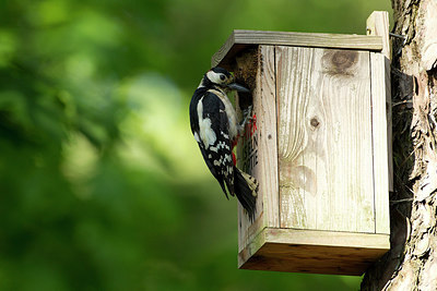 BUITEN BEELD Foto: 274211