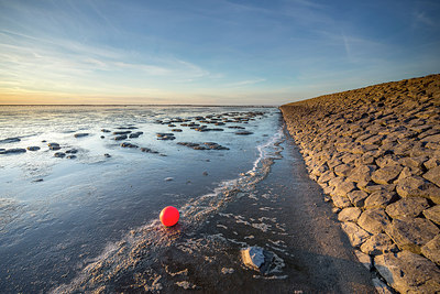 BUITEN BEELD Foto: 274237
