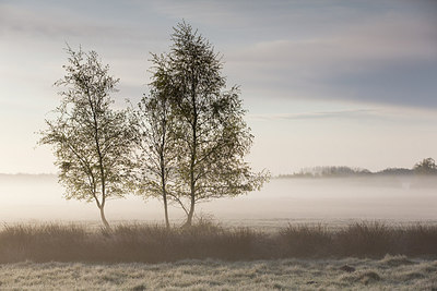 BUITEN BEELD Foto: 274283