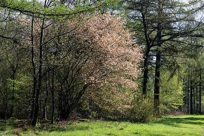 BUITEN BEELD Foto: 274284