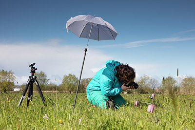 BUITEN BEELD Foto: 274287