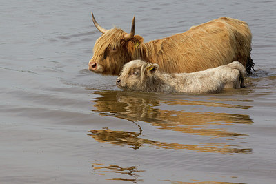 BUITEN BEELD Foto: 274295