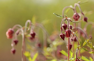 BUITEN BEELD Foto: 274332