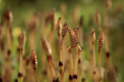 BUITEN BEELD Foto: 274342