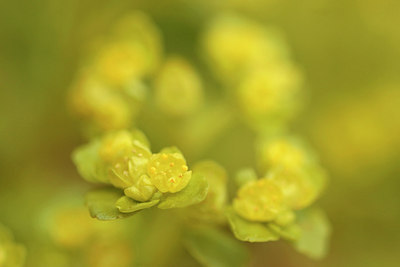 BUITEN BEELD Foto: 274365