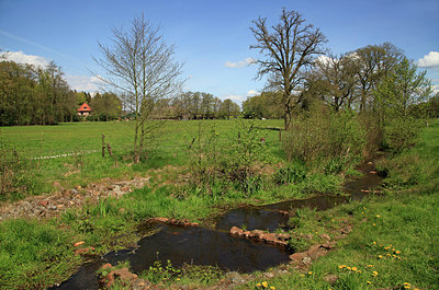 BUITEN BEELD Foto: 274379