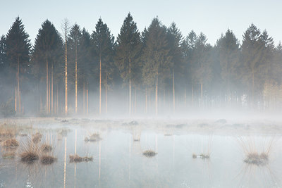 BUITEN BEELD Foto: 274396