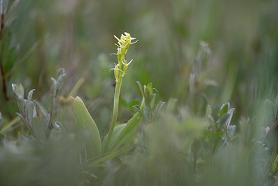BUITEN BEELD Foto: 274416