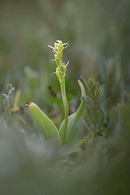 BUITEN BEELD Foto: 274417