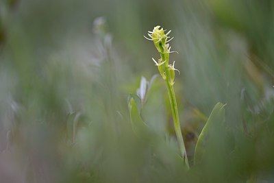 BUITEN BEELD Foto: 274419