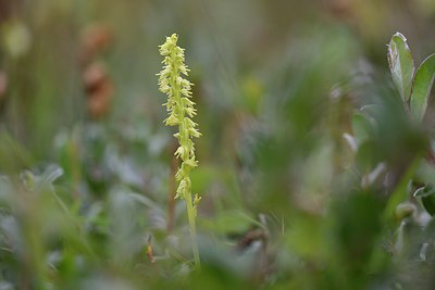 BUITEN BEELD Foto: 274420