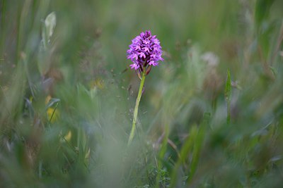 BUITEN BEELD Foto: 274429