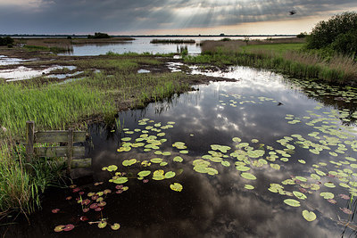 BUITEN BEELD Foto: 274440