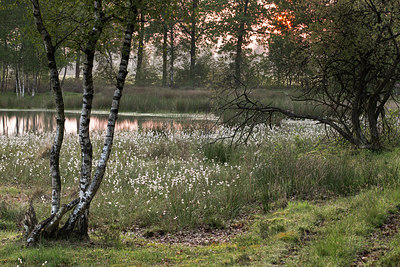 BUITEN BEELD Foto: 274442