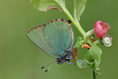 BUITEN BEELD Foto: 274455