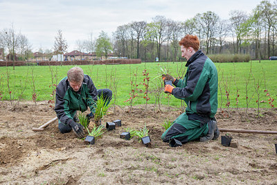 BUITEN BEELD Foto: 274477