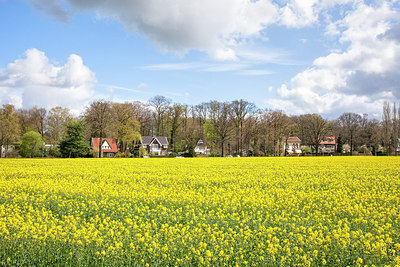 BUITEN BEELD Foto: 274484