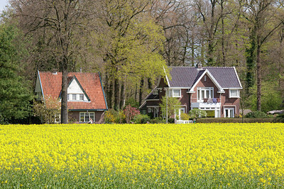 BUITEN BEELD Foto: 274486