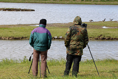 BUITEN BEELD Foto: 274487