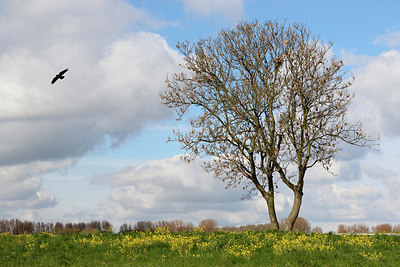 BUITEN BEELD Foto: 274508