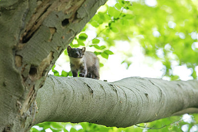 BUITEN BEELD Foto: 274531