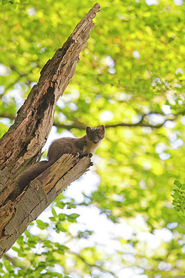 BUITEN BEELD Foto: 274571